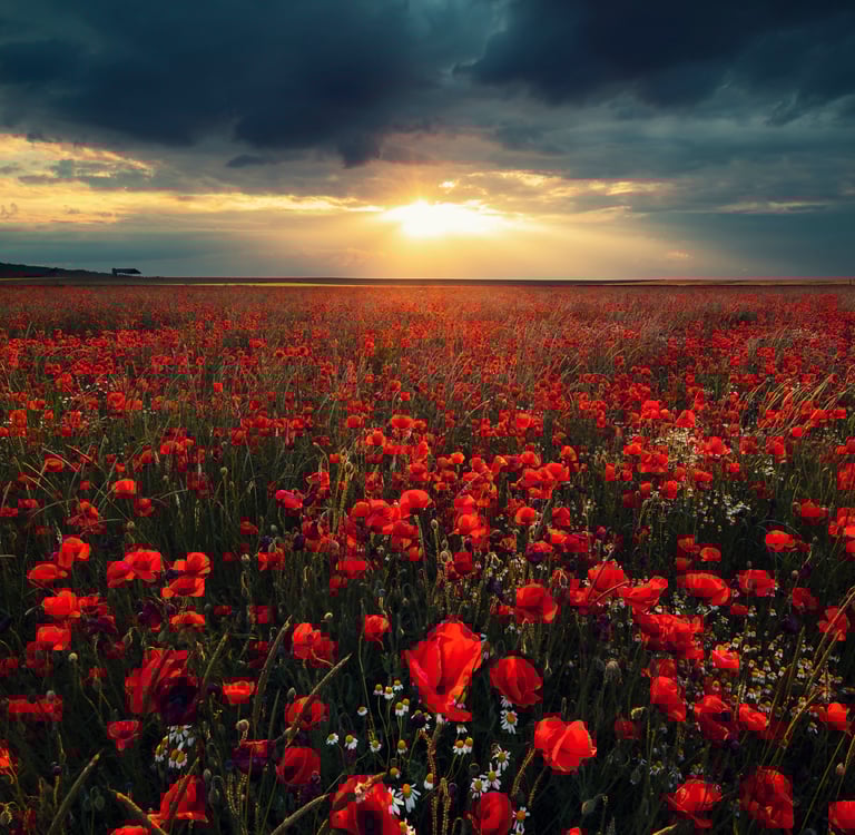 Landscape photographié par David Keochkerian