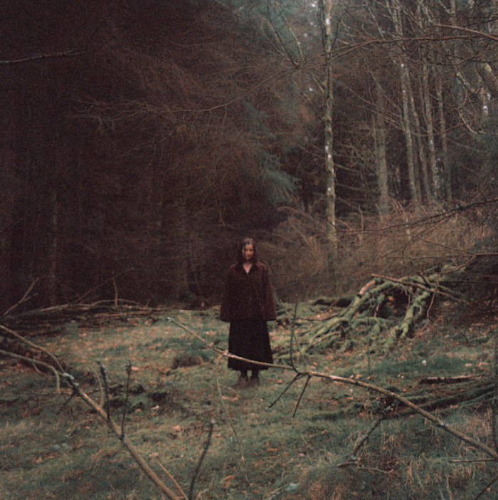 In My House Theo Bleak