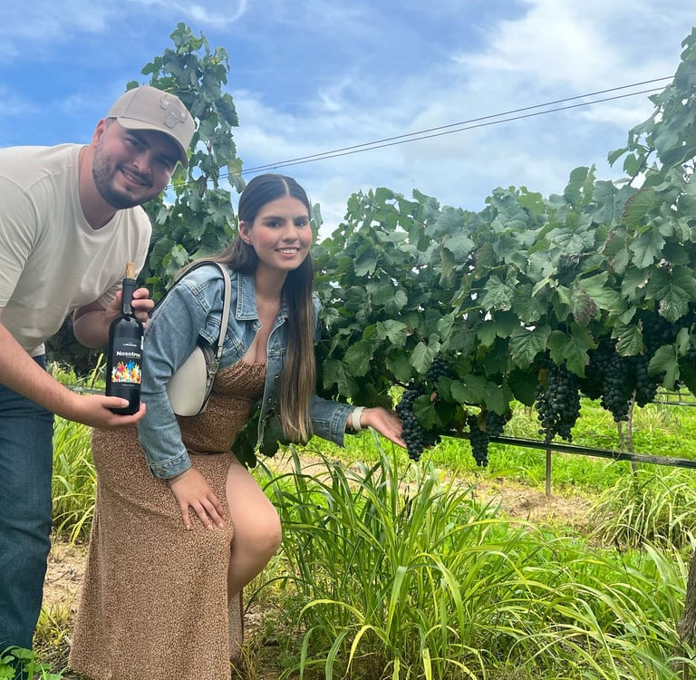 Pareja en un viñedo tomando fotos con las uvas
