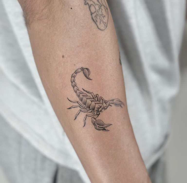 Tatuaje fineline en Madrid de escorpión realista con sombreado en gris y corazón anatómico