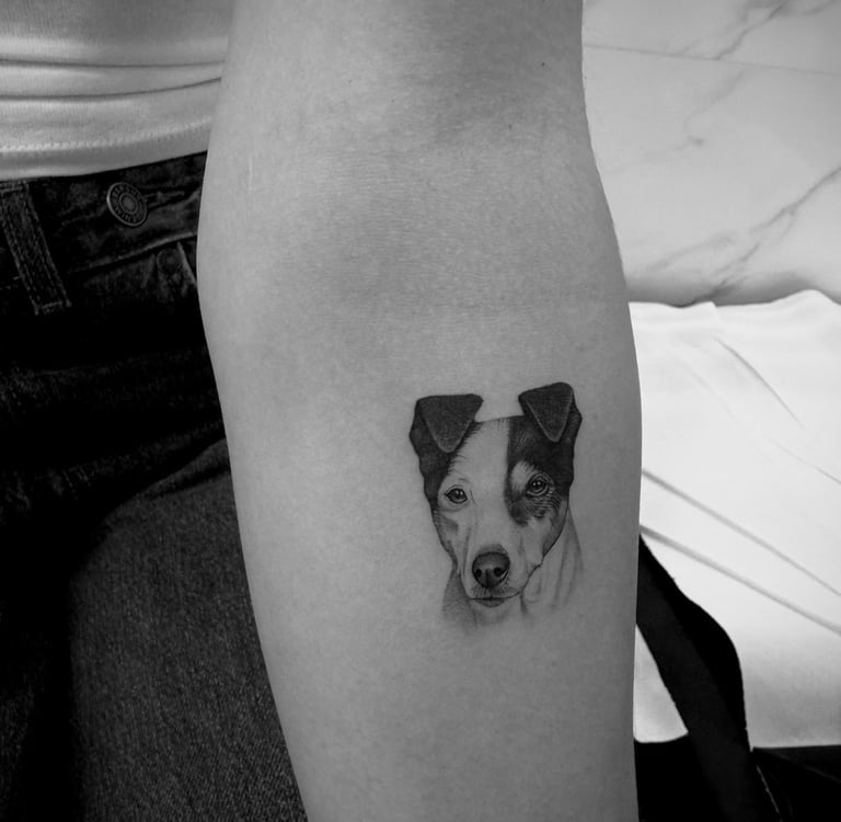 Tatuaje fineline en Madrid de retrato microrealista de perro Jack Russell en blanco y negro 