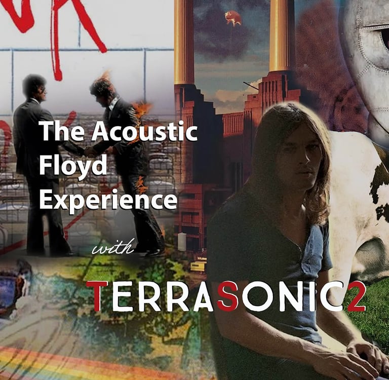 TerraSonic2, Acoustic Floyd Experience, Project, Rock Duo show, live
