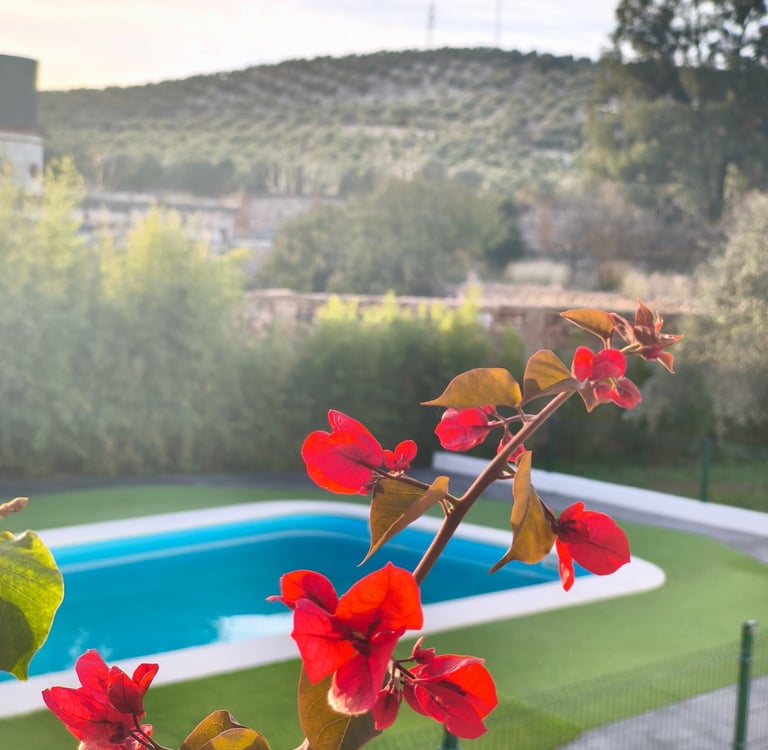 Casa rural con amplios jardines y rodeada de naturaleza