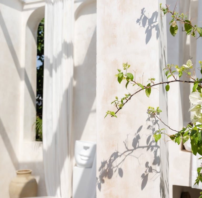 Terrace & Garden