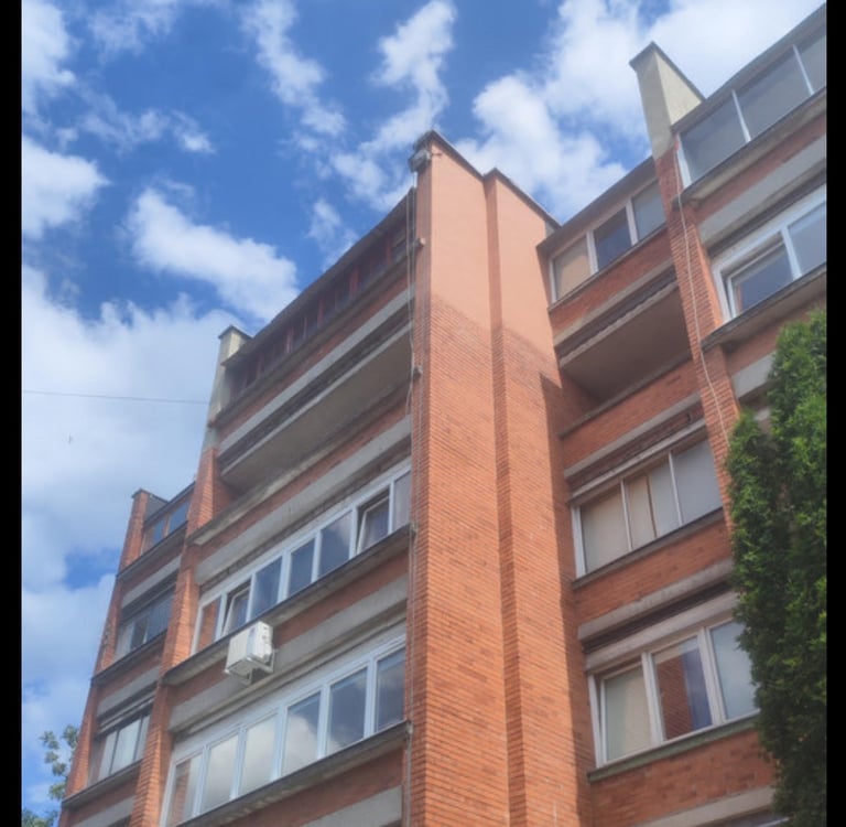 Ištrūpėjusių plytų remontas