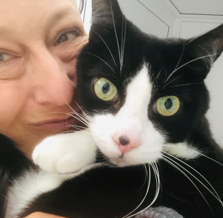 Kerry at Clarence's Cattery