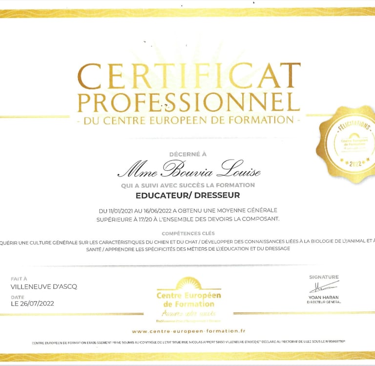 Certificat professionnel éducateur dresseur