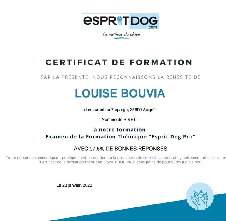 Certificat de formation théorique Esprit Dog Pro