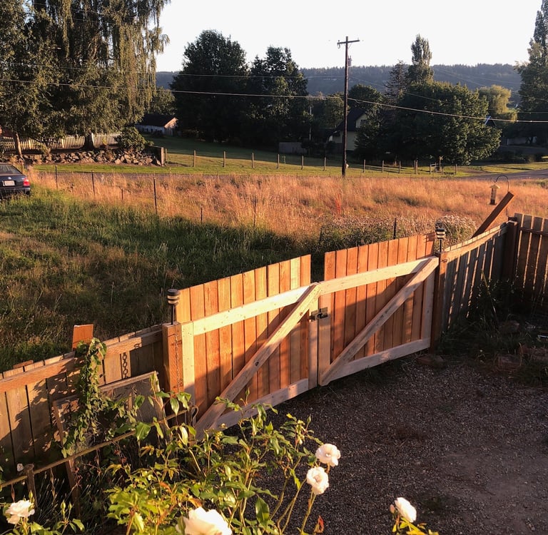 A cedar fence in the sunset light with roses in the foreground