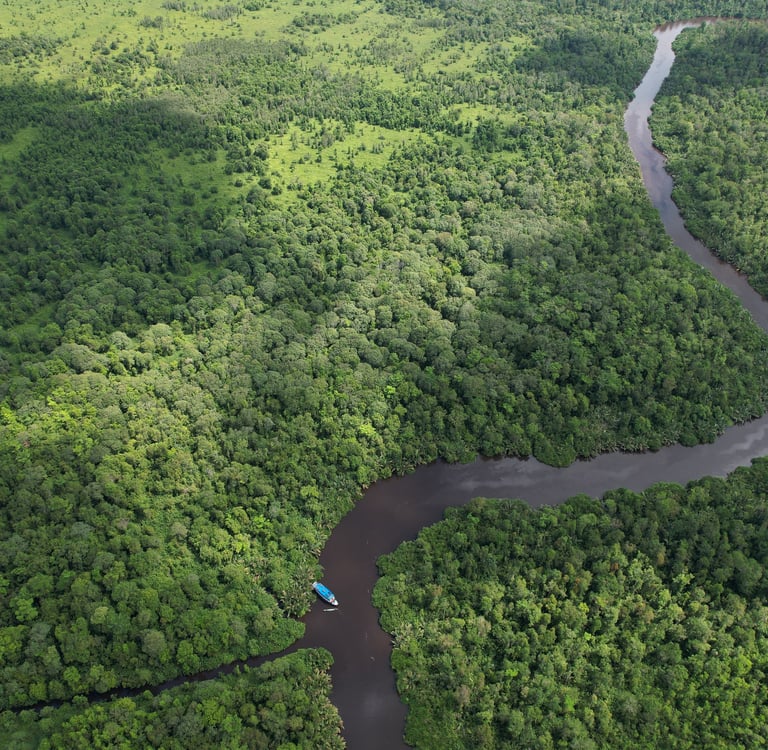 Sekonyer River from Bird's View
