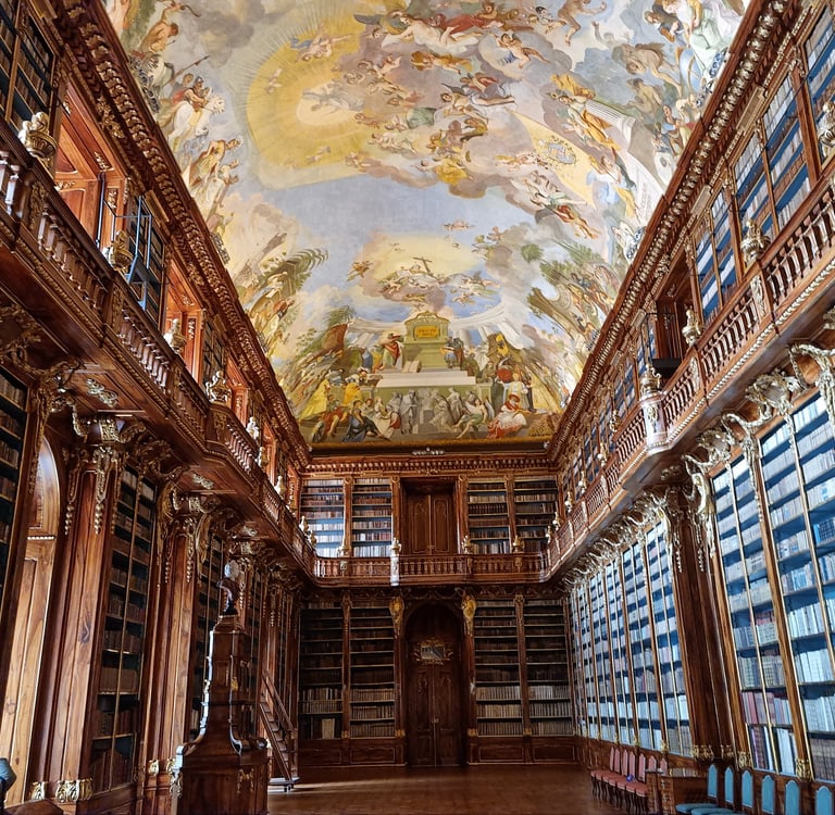 a library with a ceiling covered in a ceiling with a painted ceiling