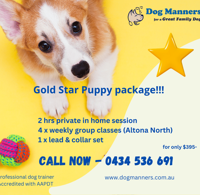 gold star puppy training package