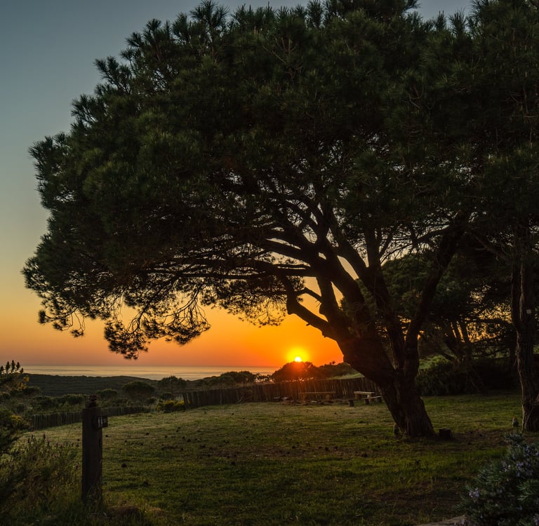 Sunset over the ocean from a hilltop in Algarve, Portugal.