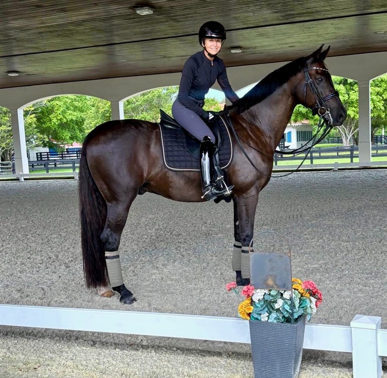 Lisa Wilcox on a striking dark bay gelding in dressage tack, in a covered riding arena