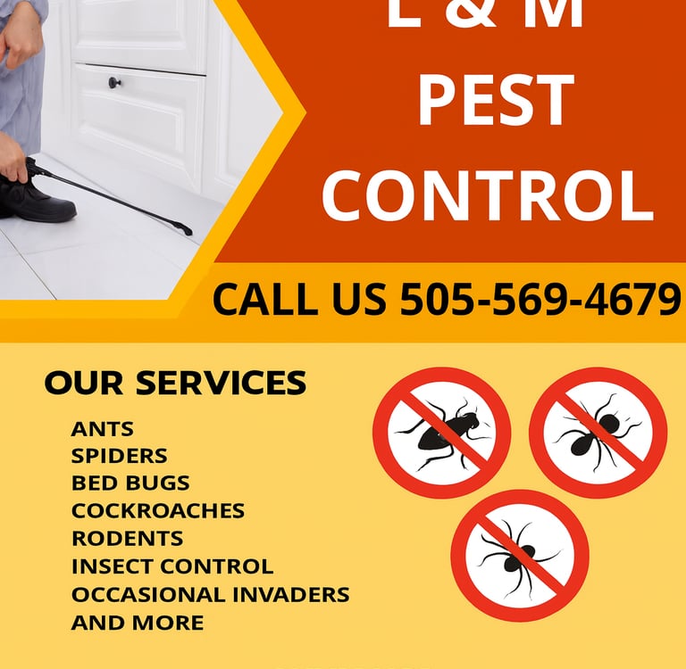 l and m pest control flyer