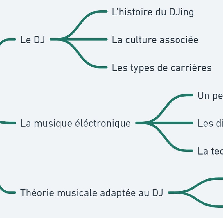 programme de formation djing grenoble