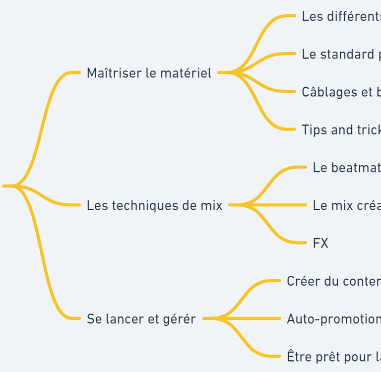 programme de formation djing grenoble