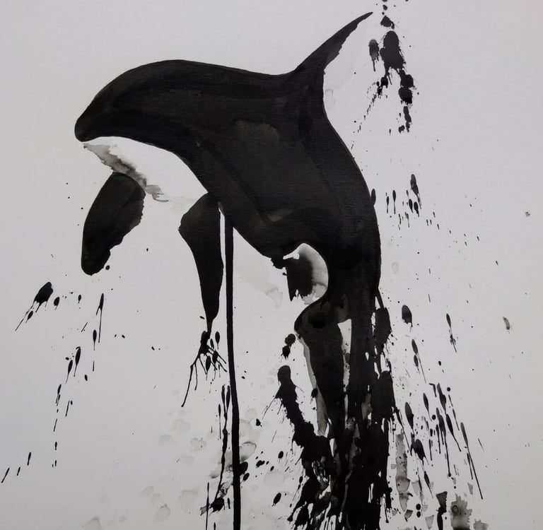 a black and white photo of an orca
