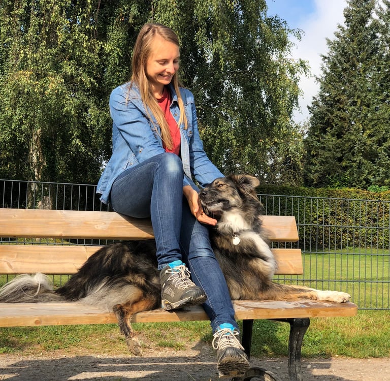 Akupressur für Tiere bei Verhaltensthemen