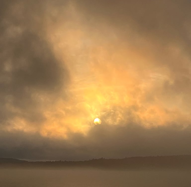 Meditation connects you with nature's wonders