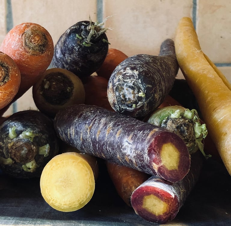 TCM Ernährung für Hunde und Pferde