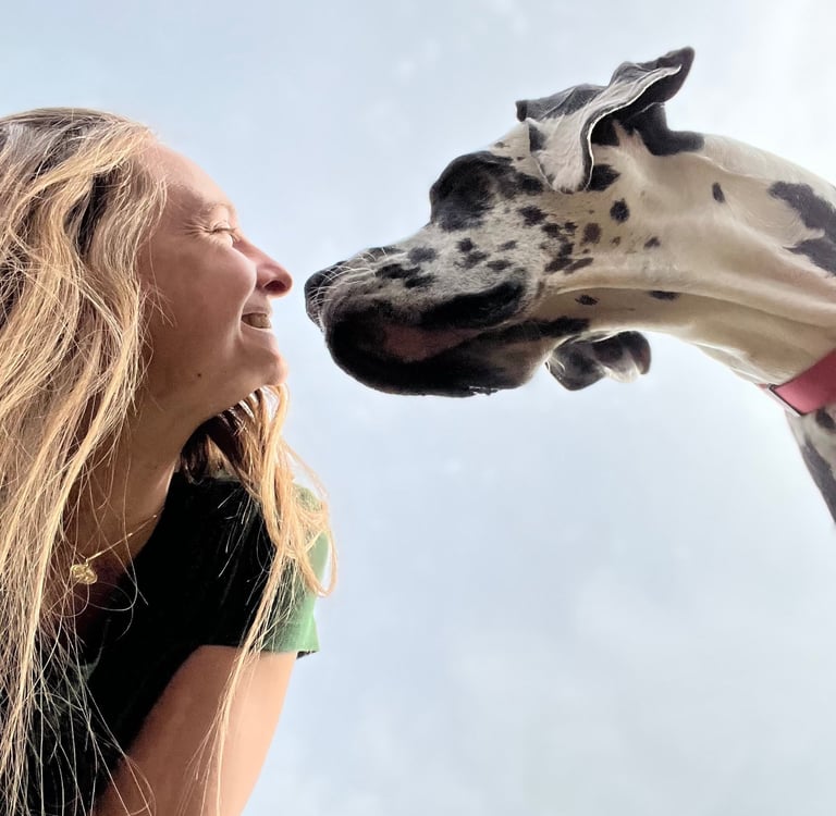 Communicating with a dog friend