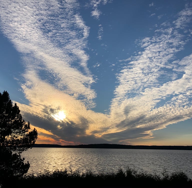 Wu Shen, Geistwesen der Chinesischen Medizin, Shen