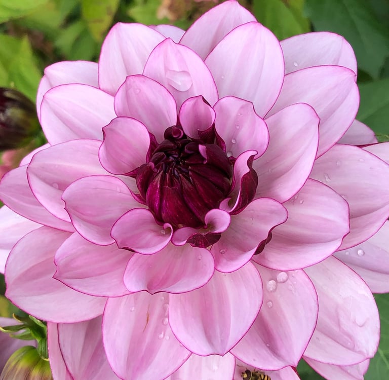 Exploring nature through meditation