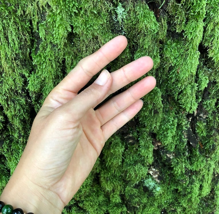 use all senses to explore and feel nature