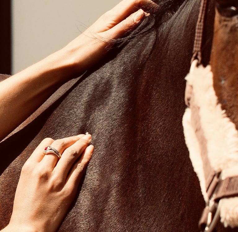 Psychosomatik für Tiere