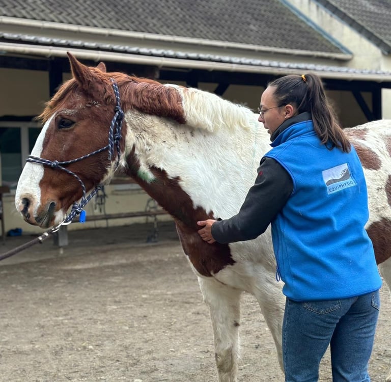 Zoé Gavoille praticienne certifiée Equiphysio