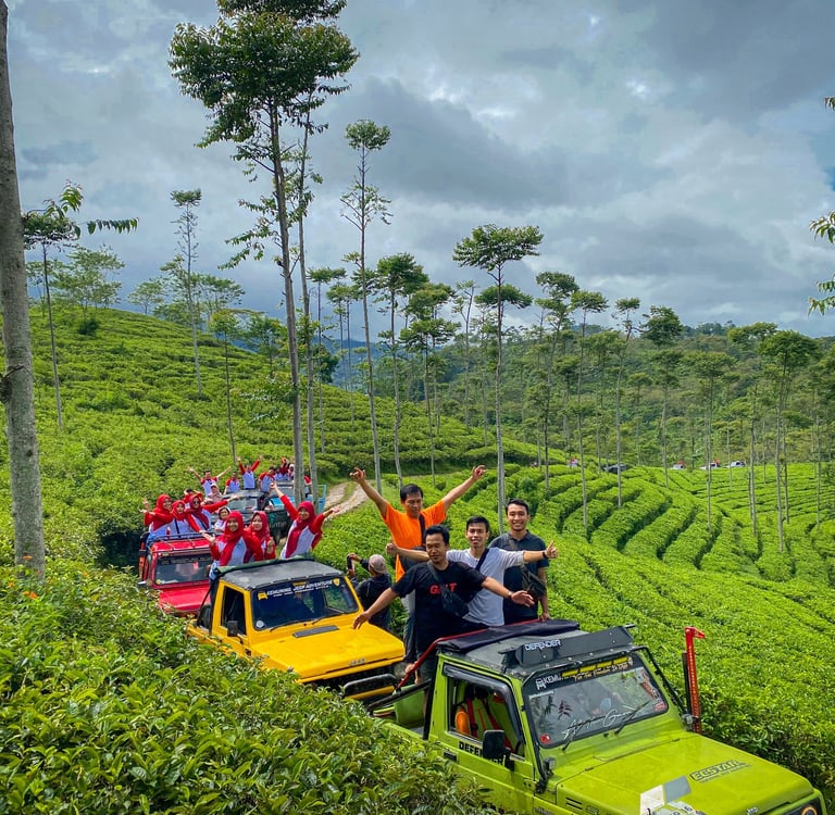 Jeep kemuning