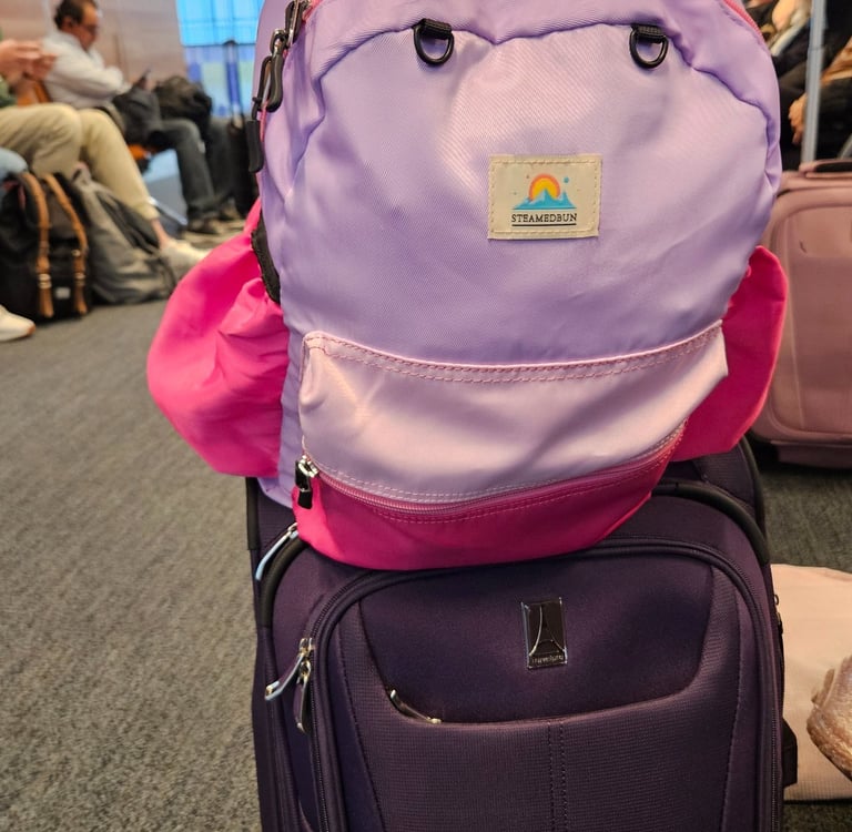 TravelPro Carry-on luggage packed for international family travel to Europe