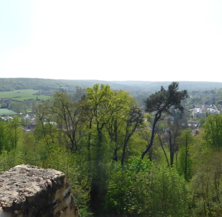 Vue vallée de Chevreuse depuis La Madeleine