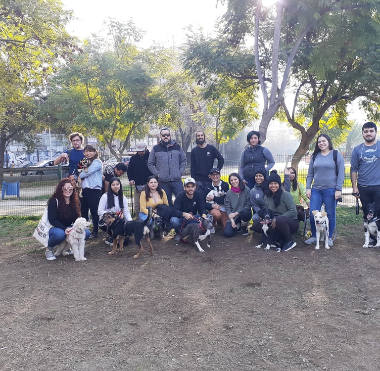 grupo socialización Santiago