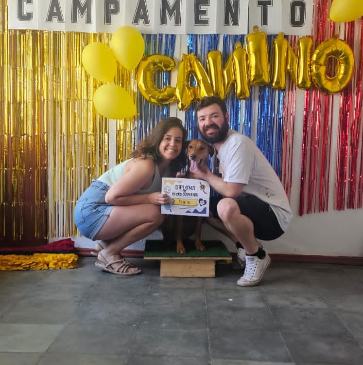 Campamento canino 