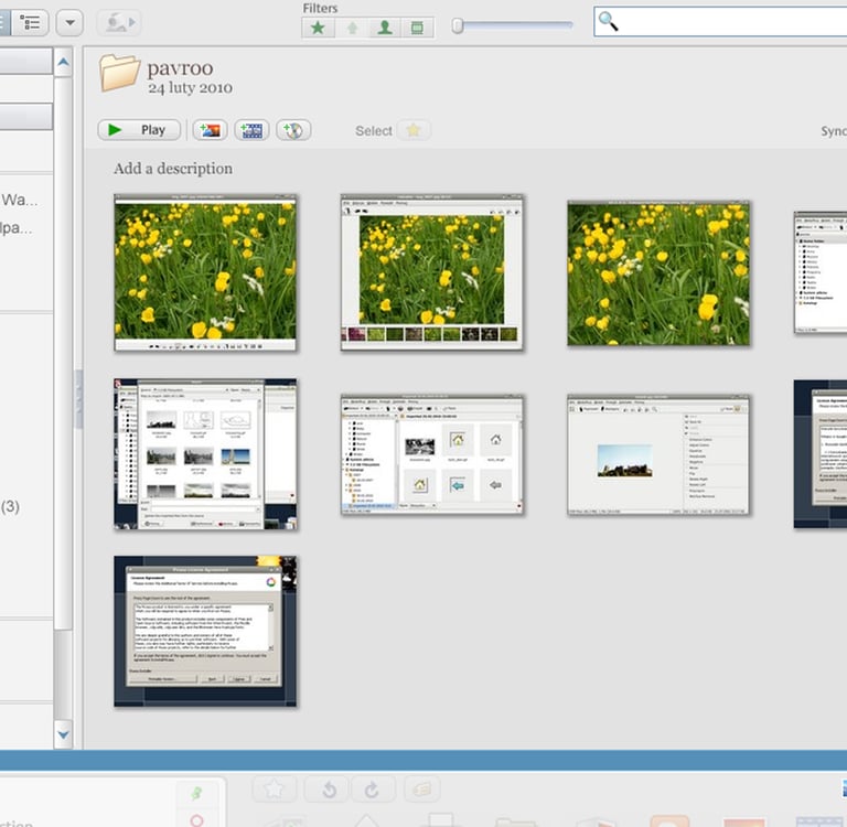Picasa user interface