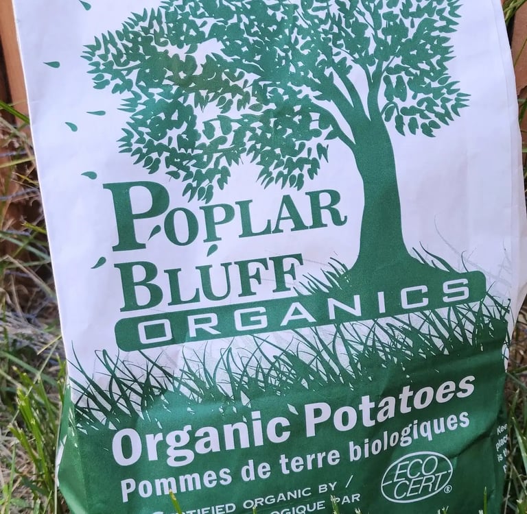 Green and white paper potato bag with Poplar Bluff Organics logo