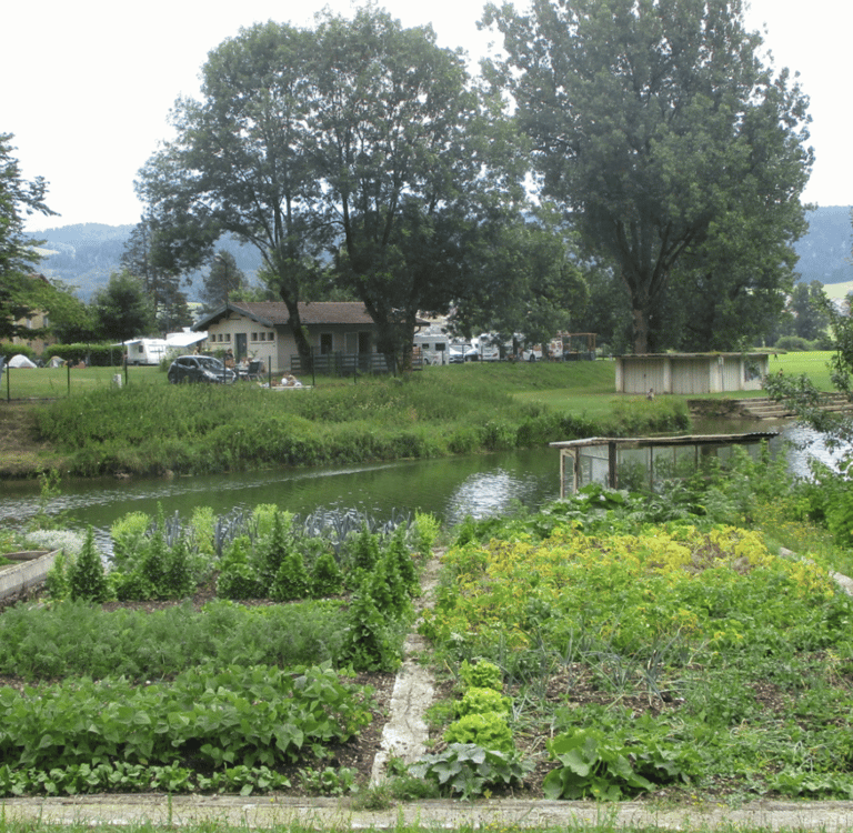 Geometric gardening uses precise shapes like squares, rectangles, circles, and triangles.