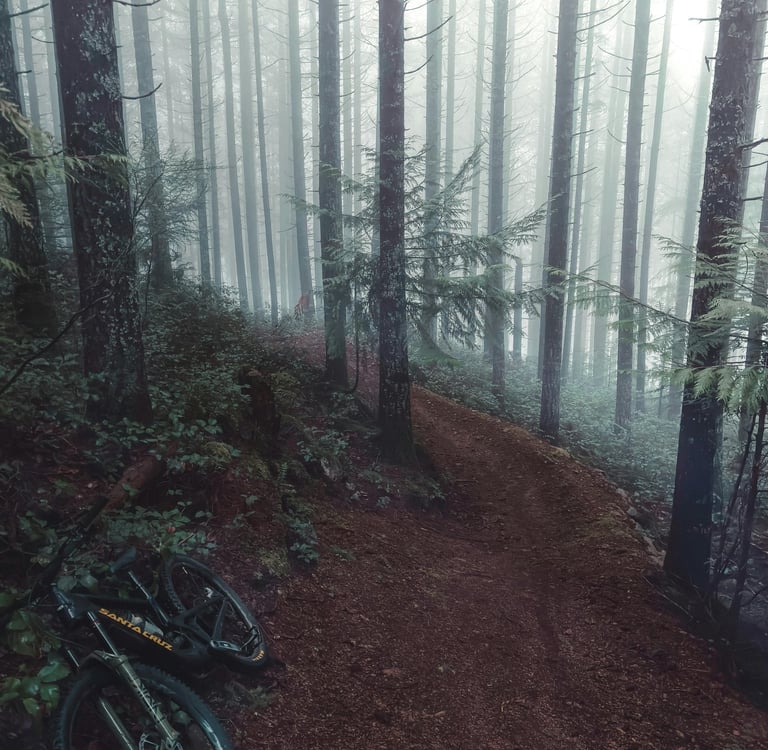 маршрути за планинско колоездене българия начинаещи