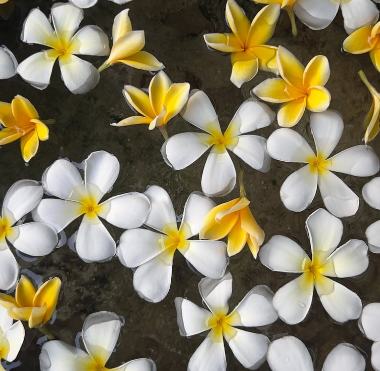 a bowl of flowers in a bowl of water