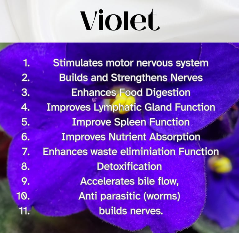 Colour Healing, Healing Light, Chromotherapy, Spechtochrome Violet