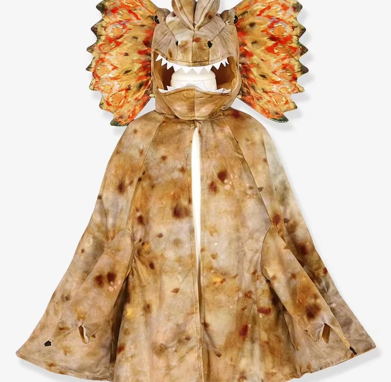 deguisement halloween enfant