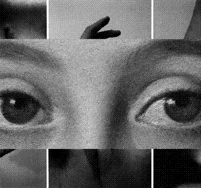 Collage diseñado por el fundador Santiago R M- OJOS DE UNA DAMA 