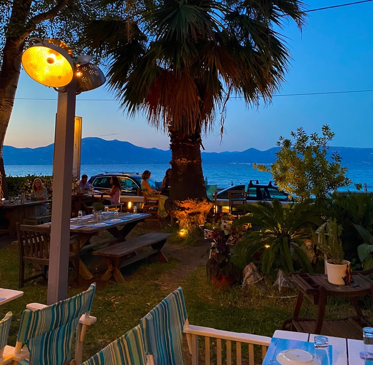 a table setting with a palm tree and a palm tree