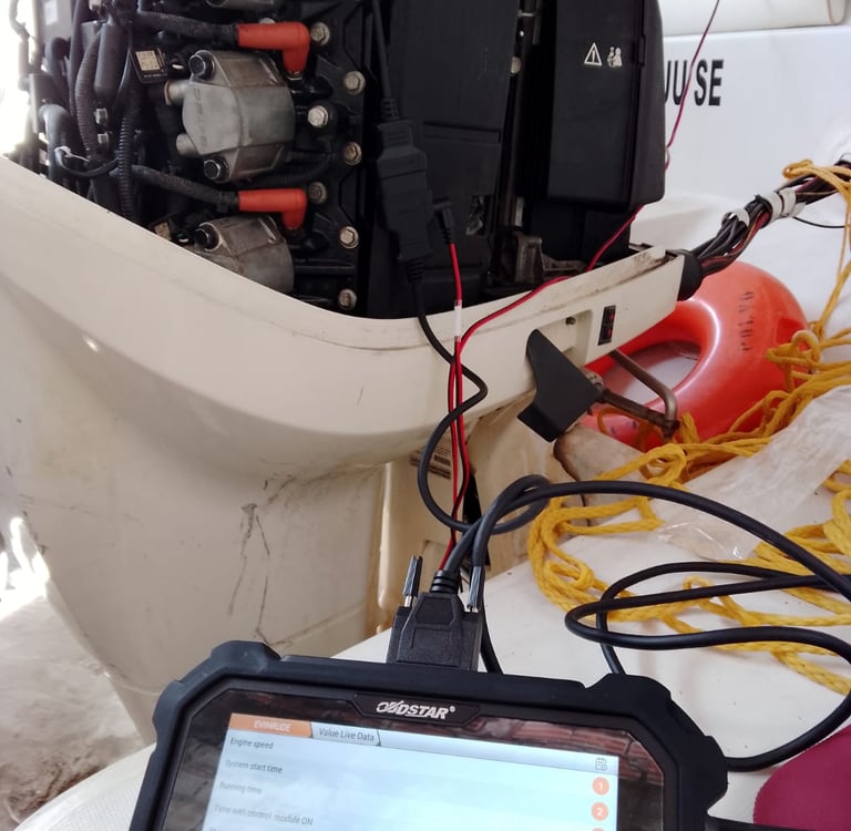 Asssistência especializada em motores de popa Evinrude