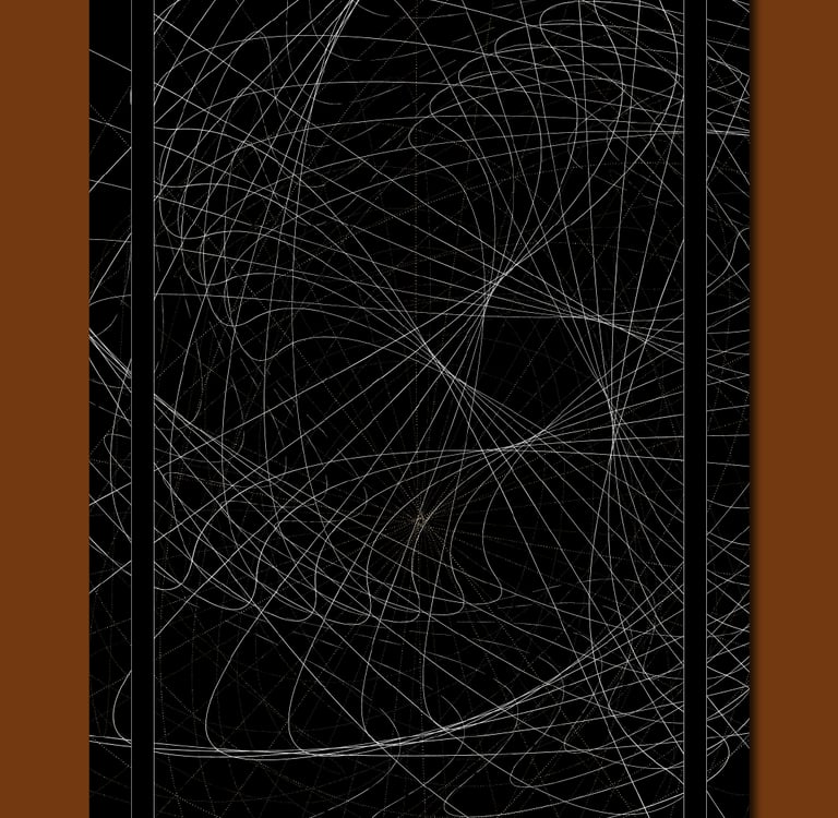 Abstract black and white linear art featuring thin white curved lines on a dark background.