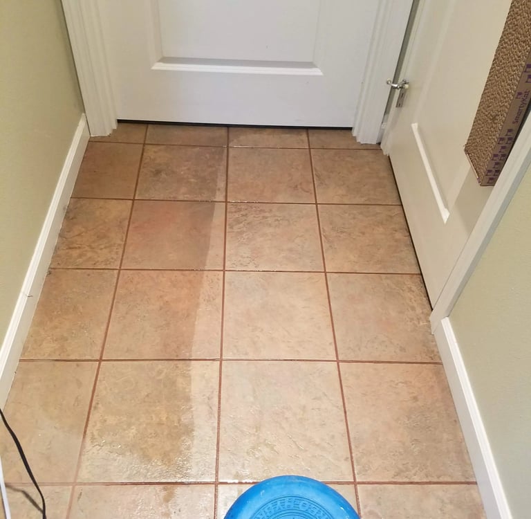 Tile floor cleaning in a Yelm home with dogs