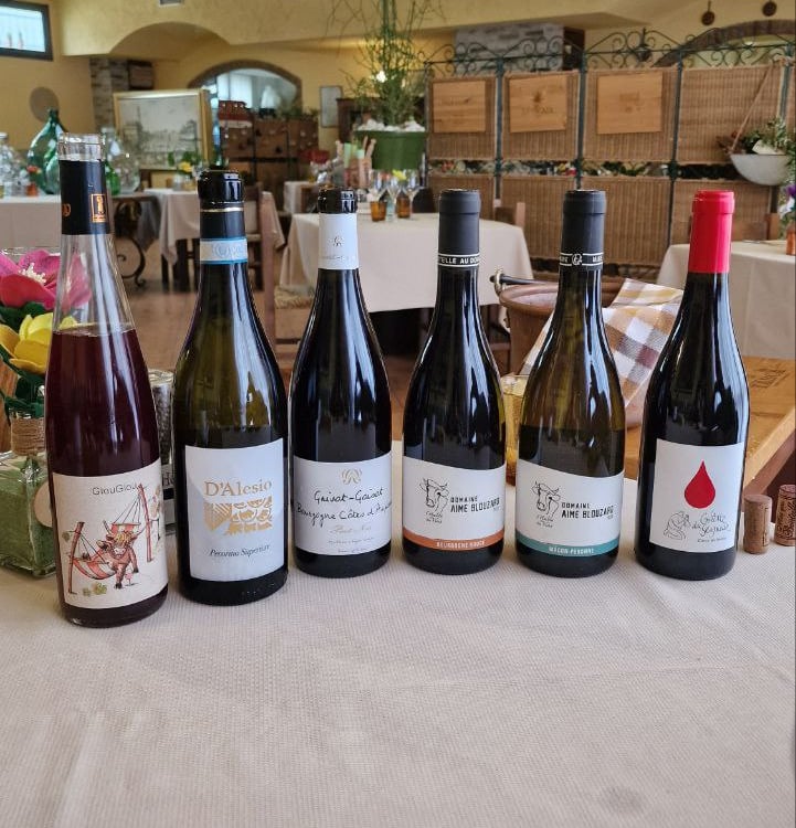 Selezione vini francesi d'Alesio distribuzione Chardonnay Borgogna, Pinot Nero, Granache, Syrah