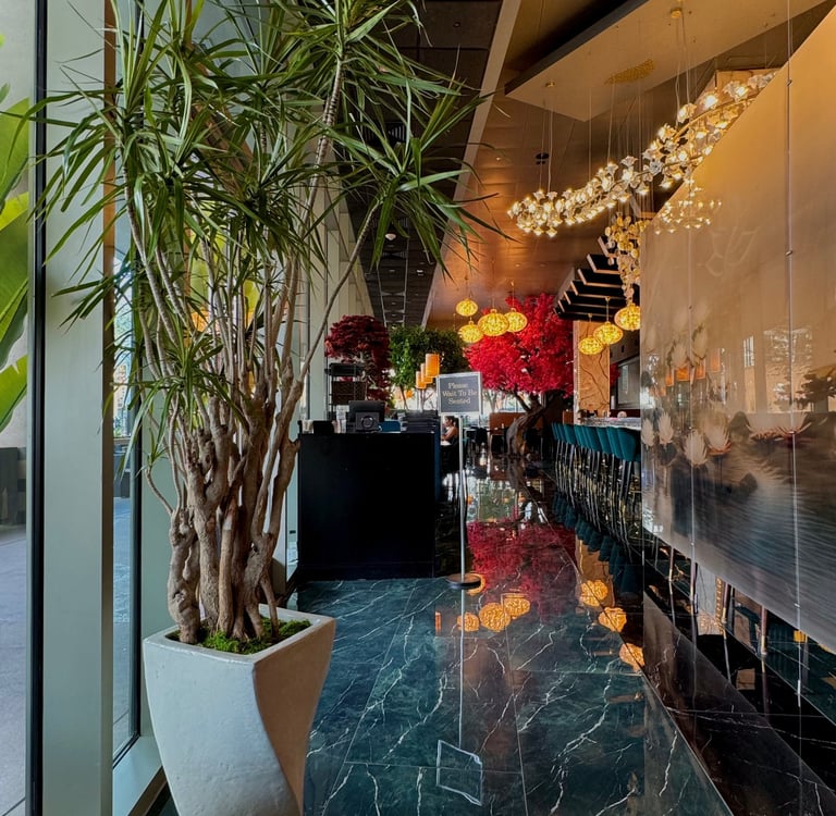 Commercial interior plant installation in a Tucson restaurant, Botanic Bliss Co.